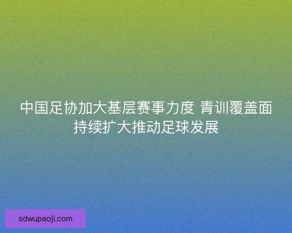 中国足协加大基层赛事力度 青训覆盖面持续扩大推动足球发展 中国足协加大基层赛事力度 青训覆盖面持续扩大推动足球发展
